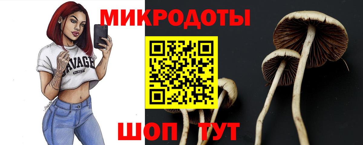 Галлюциногенные грибы Cubensis Нефтекамск