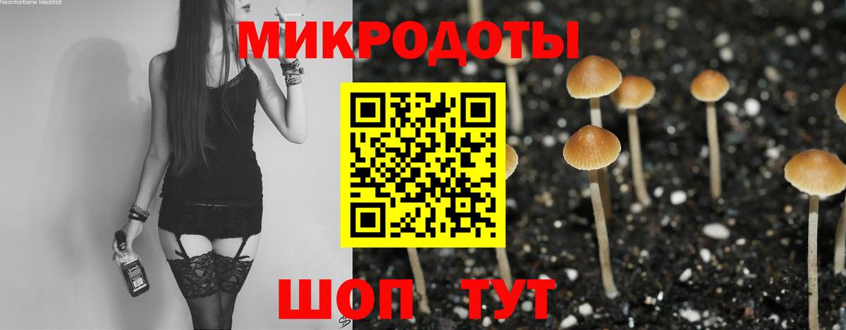 Галлюциногенные грибы Psilocybine cubensis  что такое   Псилоцибиновые грибы Psilocybe  Нефтекамск  Вход с VPN 
